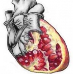 Pomegranite Grey